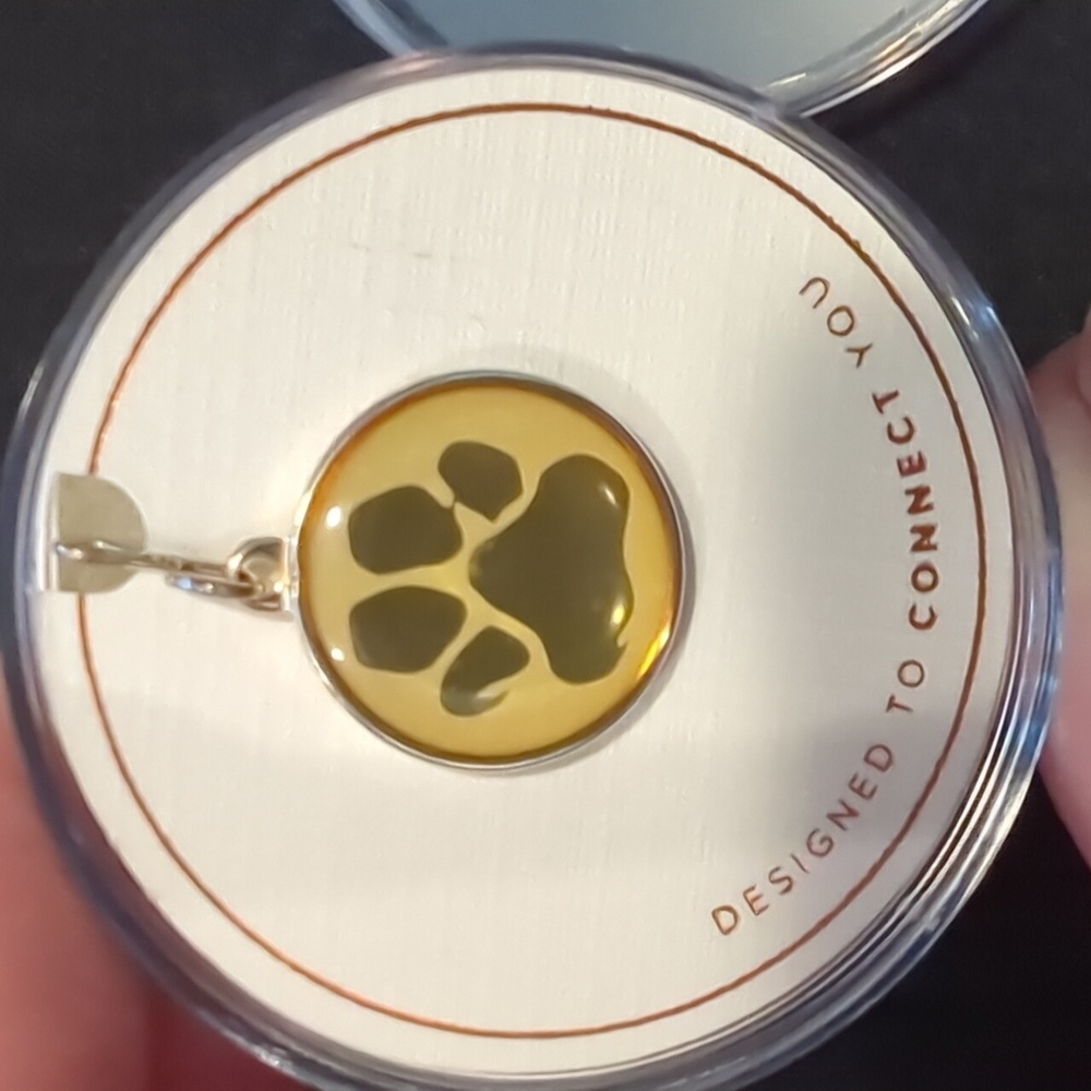 Alex and Ani 925 Sterling Silver Paw Print Charm NWT